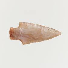 Arrowhead/ La punta de flecha